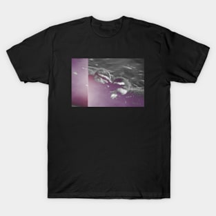 Lo-Fi Ducklings T-Shirt